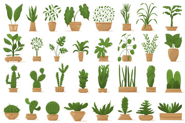 Fototapeta na wymiar Potted houseplant. Succulent, a tropical plant for home, room, greenhouse. Fashionable design, modern interior. Set of vector icons, color cartoon, complex flat, isolated