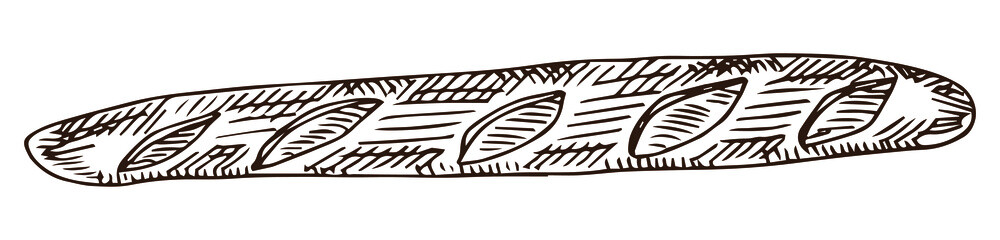 French baguette hand drawn outline doodle icon. Bread loaf vector sketch illustration for print, web, mobile and infographics isolated on white background.