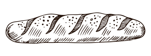 French baguette hand drawn outline doodle icon. Bread loaf vector sketch illustration for print, web, mobile and infographics isolated on white background.