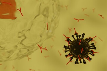 細胞とウイルスと抗体のイメージ