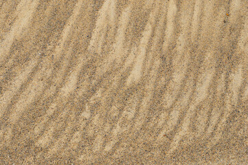 Fototapeta na wymiar Close up photo of dried out sand textureSand