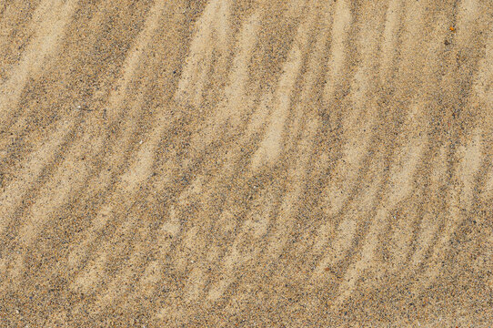 Close up photo of dried out sand textureSand