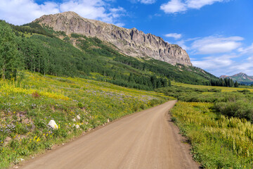Fototapeta na wymiar Gothic Road - A sunny Summer morning view of a scenic unpaved country road, Gothic Road, winding at base of rugged Gothic Mountain. Crested Butte, Colorado, USA.