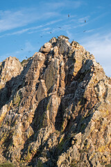 A lot of vultures circling around a mountain called the gypsy's jump (Salto del Gitano) in the Monfrague National Park