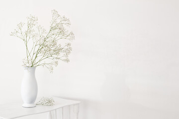 gypsophila in white vase on old wooden shelf on white background