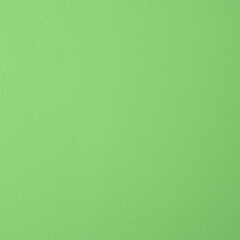 Realistic Monochrome Green Craft Foam Texture