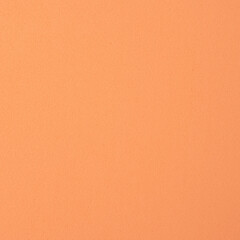 Realistic Monochrome Orange Craft Foam Texture