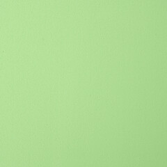 Realistic Monochrome Pastel Green Craft Foam Texture