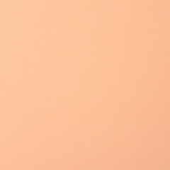 Realistic Monochrome Pastel Orange Craft Foam Texture