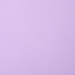 Realistic Monochrome Pastel Purple Craft Foam Texture