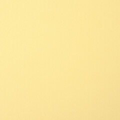 Realistic Monochrome Light Yellow Craft Foam Texture