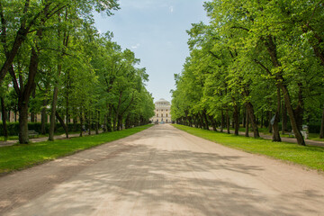 Fototapeta na wymiar The view of the 18th century Pavlovsk Imperial Palace built by the order of Catherine the Great from the green alley in Pavlovsk, Russia