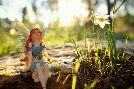 image of magical little fairy in the forest at sunset