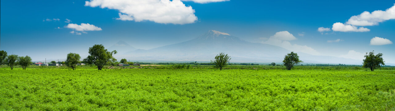 Agricultural villages near Mount Ararat. Green grain field and mountain landscape. Igdir -Turkey