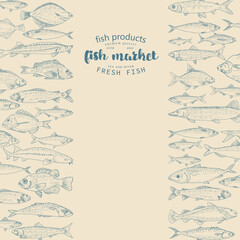 Fish food menu illustration, fish market booklet template. Collection of sketches of sea and river fish. Engraved style.