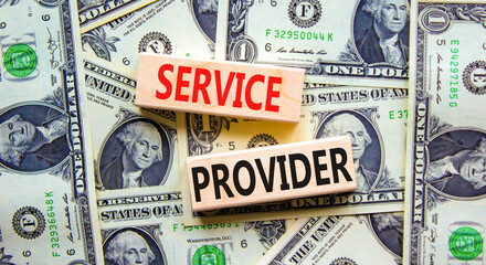Service provider symbol. Concept words Service provider on wooden blocks on a beautiful background from dollar bills. Business services and service provider concept, copy space.