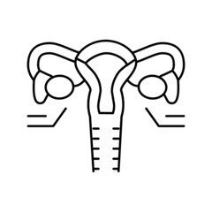 ovaries endocrinology line icon vector illustration