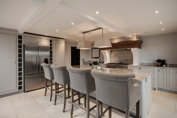 Beautiful luxurious traditional style modern kitchen in grey