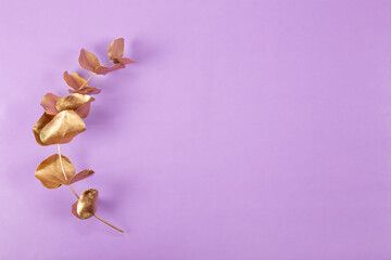 Golden branch of eucalyptus on a purple background. Minimalistic spring background with free space for text