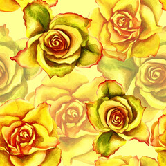 Floral pattern of roses. Watercolor seamless pattern.