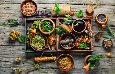 Various of medicinal plants