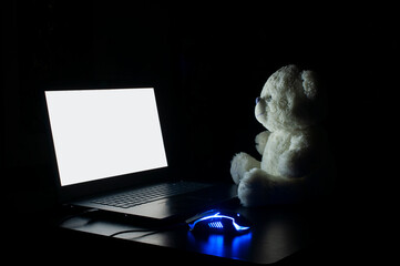 The laptop screen glows in a dark room. A teddy white bear sits in front of a computer screen in a dark room.
