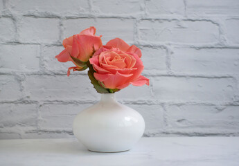 rose flower in vase on old background
