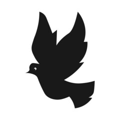 White pigeon flying peace symbol