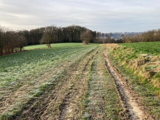Obraz premium Landschaft zwischen Wald und Wiese mit Blick auf Solingen und Feldweg