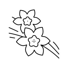 vanilla aromatherapy line icon vector isolated illustration