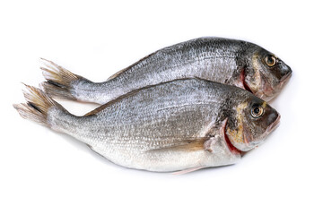 Gilt-head bream fresh raw fish dorada without scales and gills, ready for cooking. Picture of dorade for the fish seafood market menu