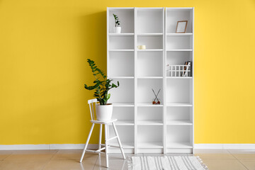 Chair, houseplant and shelving unit with decor near yellow wall