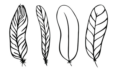 set of different feathers handwritten in black and white