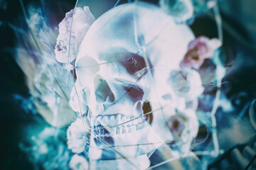 Abstract photo of a human skull with a grid with roses.