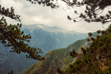 The mountains in the Mount Olympus