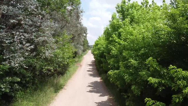 Camino rural cerca de v&iacute;as de tren- Buenos Aires - Argentina