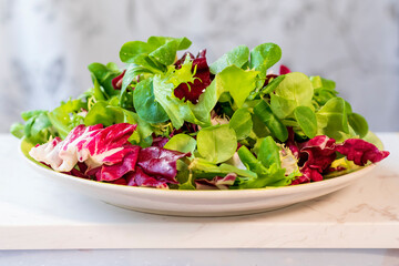 green and pink lettuce leaves on a plate, healthy and wholesome food concept