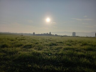 Fototapeta premium Natur