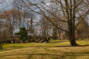 Fototapeta na wymiar Prague, Czech Republic - February 12, 2022 - The Botanical Garden - the Japanese Garden in the sunny winter afternoon