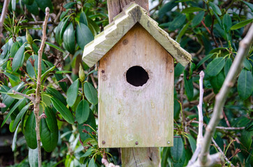 Close up shot of a weathered bird box in a residential garden.