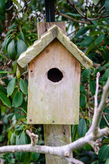 Close up shot of a weathered bird box in a residential garden.