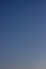 Moon in the evening sky