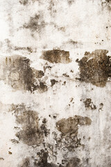 wall with stains and fungi caused by humidity