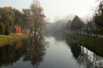foggy autumn on the river