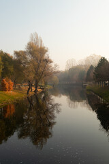foggy autumn on the river bank