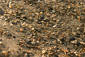 Pebbles on the sunny riverside