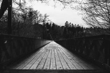 Monochromatic shot of wooden walkway over lake Magelungen in Farsta, Sweden.