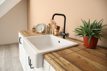 Fototapeta na wymiar Counters with sink, houseplant and kitchen utensils near beige wall