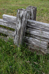 Rustic wooden fence with wildflowers