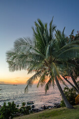 Fototapeta na wymiar Palm trees at sunset in Maui